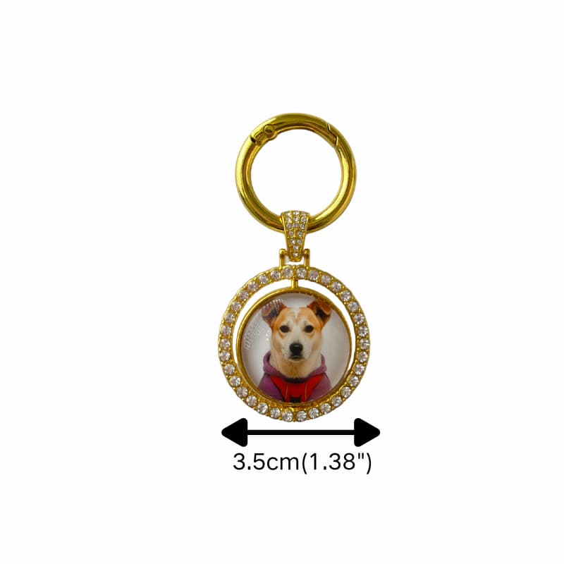 Custom Personalized Pet Keychain - Zinc Alloy with Double-Sided Photo